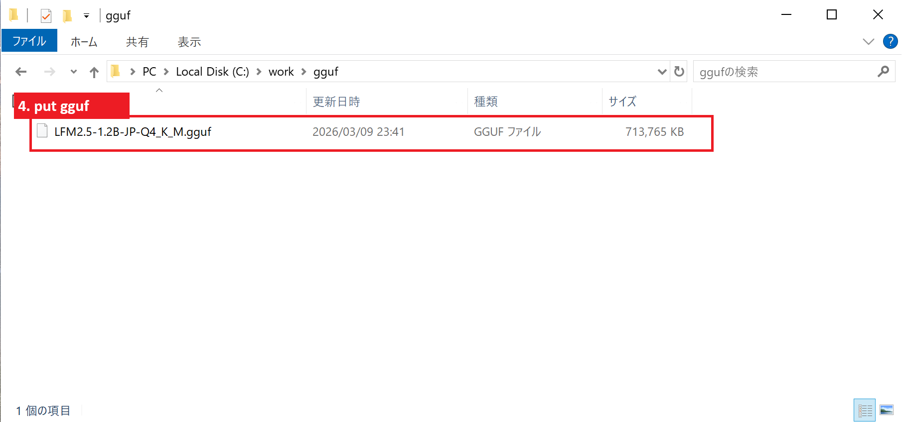 Folder structure with .gguf file placed in C:\work\gguf